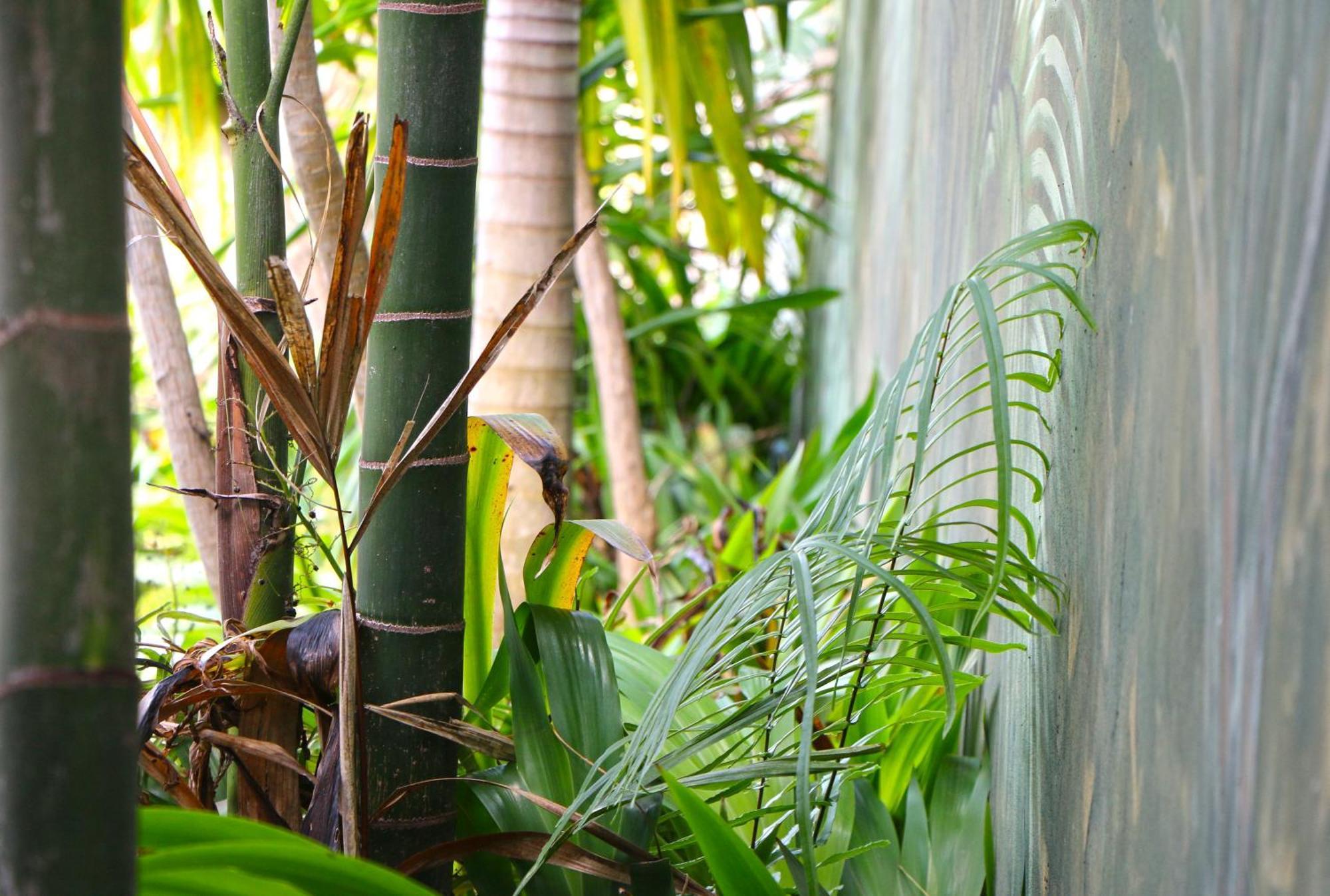 Apartmán Ocean Blue Bay Anse Volbert Village Exteriér fotografie