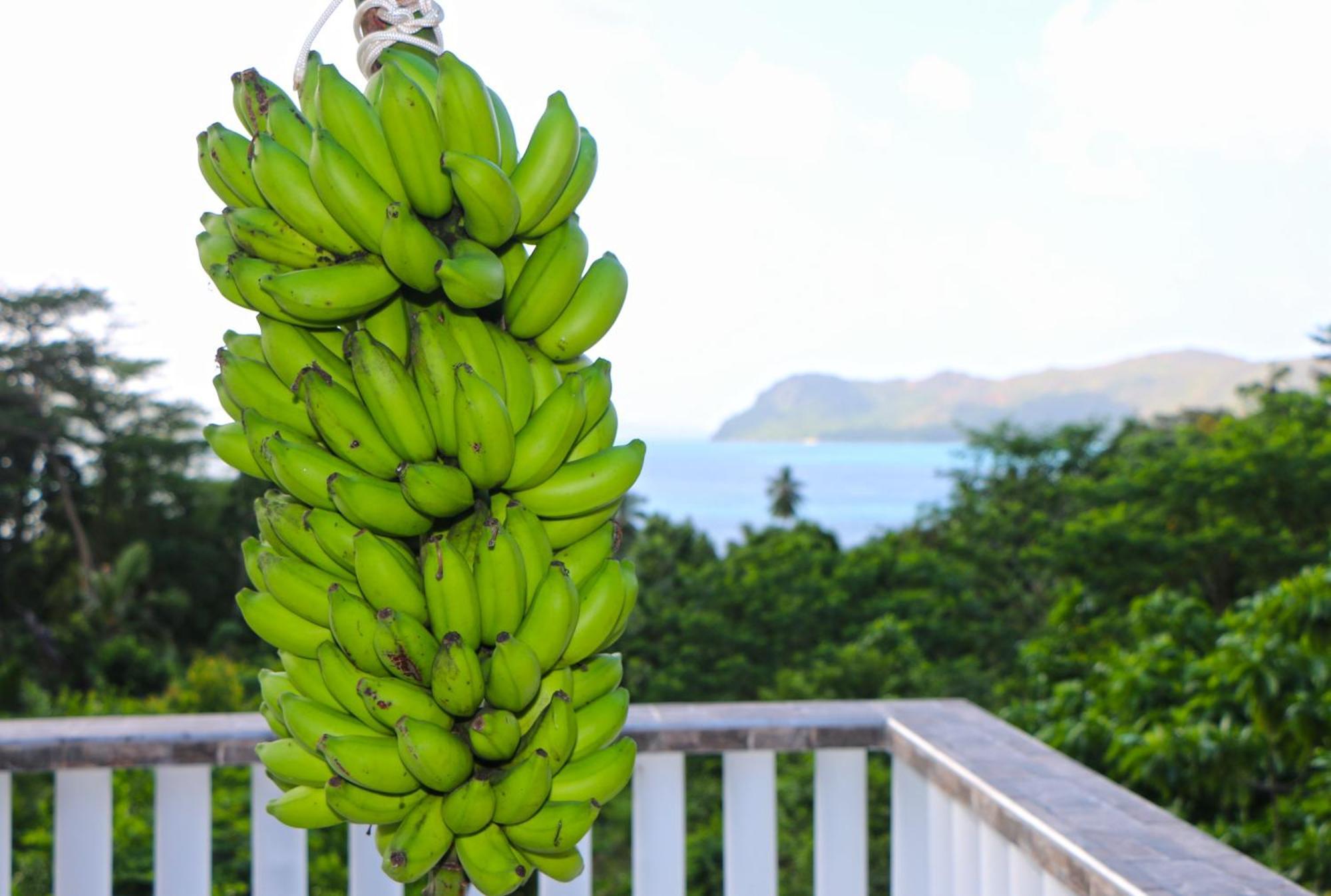 Apartmán Ocean Blue Bay Anse Volbert Village Exteriér fotografie