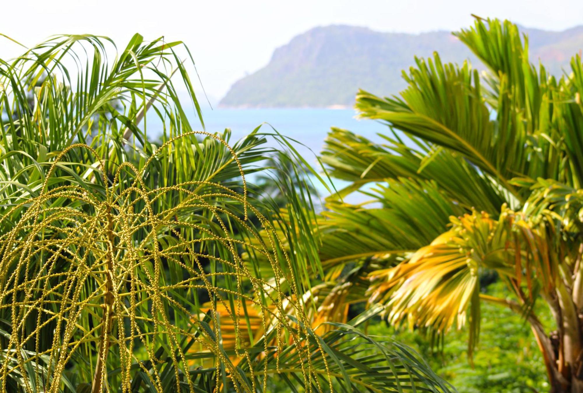 Apartmán Ocean Blue Bay Anse Volbert Village Exteriér fotografie